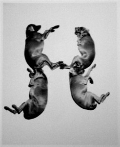 Image description is not available for 2001.066